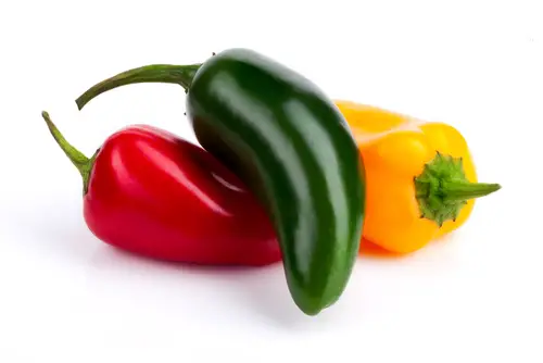 Jalapeno pepper varieties