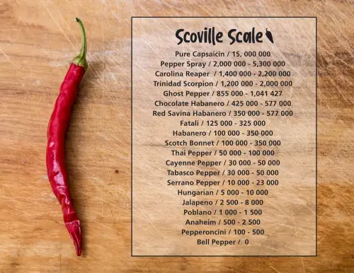The scoville scale jalapeno